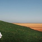 Andrei Zaharov #3241