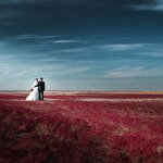 Andrei Zaharov #3241