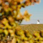 Віталій Миронюк #2140