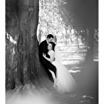 Юрій Паліброда #1107