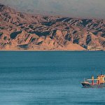 Женя Проценко #3955