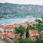 Юлия Добровольская #2082