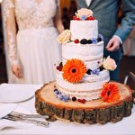 Merry Кондитерська #5480