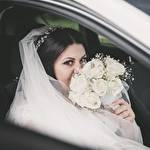 Илья Трач #9264