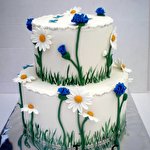 Труш Елена Труш #4974