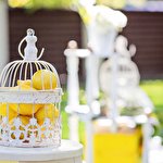 Анна Иванова #3834