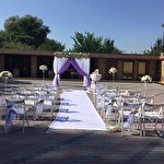 Тина Иванова #1131