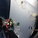 Надія Ільчук #7025