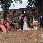 4you Струнний квартет #1423