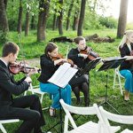 4you Струнний квартет #1423