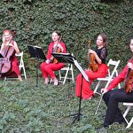 4you Струнний квартет #1423