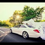 Vesheleniy Michael Вешеленій #2560