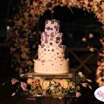 Анна Степаненко #8830