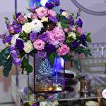 Анна Степаненко #8830