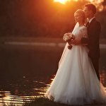 Андрій Медведюк #520