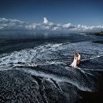 Альвина Россо #649