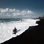 Альвина Россо #649