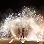 Театр вогню TRION Вогняне шоу #9474