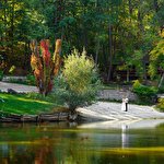 Игорь Трубилин #3522