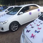 Юлия Юлия #7333