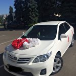 Юлия Юлия #7333