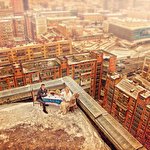 Антон Павлин #4201