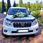 Влад Влад #7514