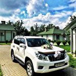 Влад Влад #7514