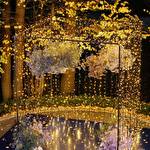 Ресторан Park. Art of Rest #5810