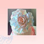 Галина Нападій #5041