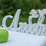 Ирина Петрушанко #3677