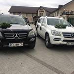 Назар Вінтоняк #8706