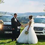 Назар Вінтоняк #8706