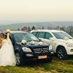 Назар Вінтоняк #8706