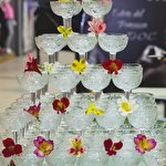 Александр Гребенюк #6644