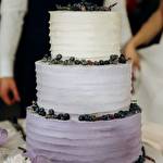 Любов Тимчак #8170