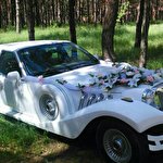 ДИВА Компания #4655