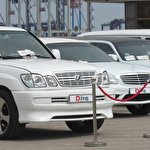 ДИВА Компания #4655