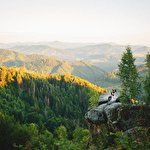 Елена Жемчужина #601