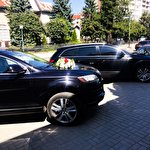 Віктор Віктор #6803