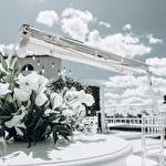 Алексей Гуляев #8726