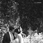 Антон Троценко #655