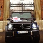 Микола Демчук #5387