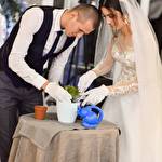 Ира Вулпе #6904