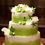 Алена Ткаченко #6933