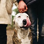 Евгений Ефанов #1037