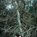 Юра Ярема #1074