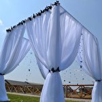 Малина Малиновка #1688