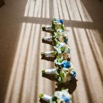 Малина Малиновка #1688