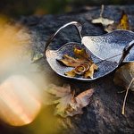 Оксана Корень #125